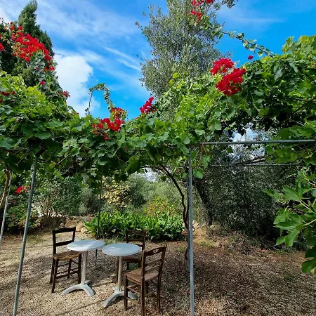 Forestata Village Apartmán Kouvalata