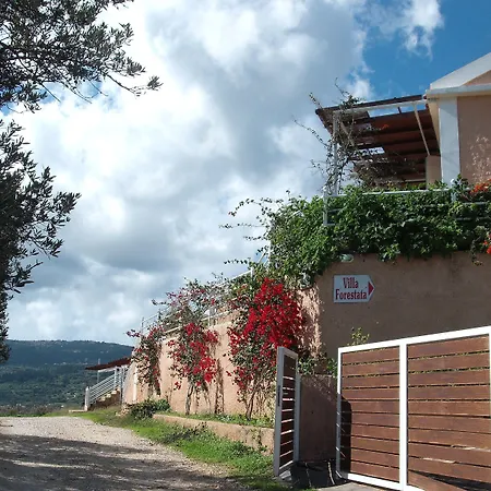 Forestata Village *